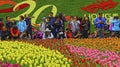 Hong kong international flower show 2017