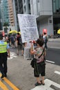 Protest, demonstration, pedestrian, street, vehicle, car, advertising, event, road, crowd, city, recreation