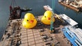 two giant Rubber duckie in hong kong