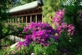 Hong Kong: Nan Lian Garden Royalty Free Stock Photo