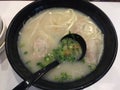 Hong Kong Noodle soup with wonton Royalty Free Stock Photo