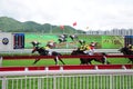 Hong Kong Reunification Cup Jockey Club horse racing