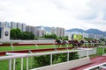 Hong Kong Reunification Cup Jockey Club horse racing