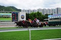 Hong Kong Reunification Cup Jockey Club horse racing