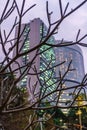 Hong Kong scenic evening cityscape. Hong Kong skyscraper veiwed through tree branches