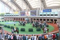 Hong Kong : Sha Tin Racecourse Royalty Free Stock Photo