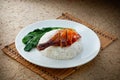 Hong Kong-style roasted duck rice Royalty Free Stock Photo