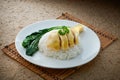 Hong Kong-style chicken rice Royalty Free Stock Photo