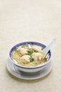 Hong Kong Style Wonton Noodle soup Royalty Free Stock Photo