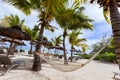 Honneymoon on tropical beach with palm leaf thatch roofing umbrellas and palm trees in the background