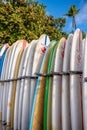 Dive Oahu surfboards on Waikiki Beach