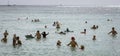 Honolulu, Hawaii - Nov 6, 2021-Young boys play on their boogey boards in the surf Royalty Free Stock Photo