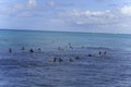 Honolulu, Hawaii - Nov 6, 2021-Young people wait with their boogey boards for the next surf wave Royalty Free Stock Photo