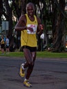 Honolulu Marathon 4