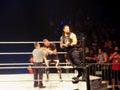 Roman Reigns wrestler stands on top turnbuckle before start of match with Sami Zayn