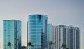 Honolulu skyline at sunset with palm trees in front Royalty Free Stock Photo