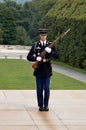 Honor Guard Royalty Free Stock Photo