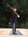 Honor Guard at Arlington Cemetery Royalty Free Stock Photo