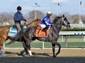 Honor Up - Carter Post Parade Royalty Free Stock Photo