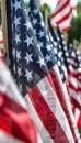 Honoring american veterans on memorial day with flags at national cemetery, patriotic tribute