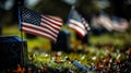 Honoring american veterans on memorial day with flags at the national cemetery, a patriotic tribute.