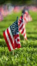 Honoring american veterans on memorial day with flags at the national cemetery, a patriotic tribute.