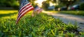 Honoring american veterans on memorial day with flags at national cemetery, patriotic tribute.