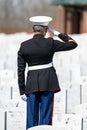 Honoring the Fallen: A Marine's Tribute at National Military Cemetery Royalty Free Stock Photo