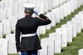 Honoring the Fallen: A Marine\'s Tribute at National Military Cemetery Royalty Free Stock Photo