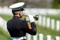 Honoring the Fallen: A Marine\'s Tribute at National Military Cemetery Royalty Free Stock Photo