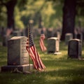 Honoring Heroes: AI-Generated Memorial Day Cemetery with Fallen Soldiers\