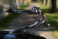 Hood ornament Royalty Free Stock Photo