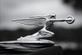 Hood ornament on antique Packard automobile.