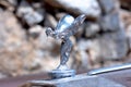 Hood ornament of a luxury car close up