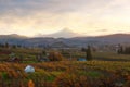 Hood River Oregon at Sunset in Fall Royalty Free Stock Photo