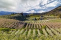 Hood River Pear Orchards on a Cloudy Day springtime Royalty Free Stock Photo