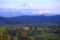 Hood River valley OR. & Mt. Hood. Royalty Free Stock Photo