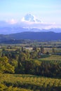 Hood River valley OR. & Mt. Hood. Royalty Free Stock Photo