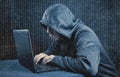 Hooded computer hacker Royalty Free Stock Photo