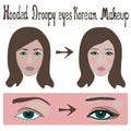 Hooded droopy eyes make up Korean style for european woman face tutorial