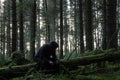 A hooded figure sitting on a log looking away from the camera in a spooky winter forest with a cold muted edit