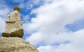 Hoodoo at Bisti Badlands