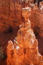 Hoodoo. Bryce Point Canyon Aerial View. Vertical Royalty Free Stock Photo