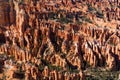 Hoodoo Forest in Bryce Canyon