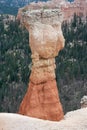 Hoodoo Pinnacle Stone at Bryce Canyon National Park Utah USA