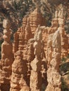 Hoodoo Sentinels