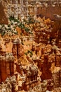 Hoodoos in Bryce Canyon National Park, Utah