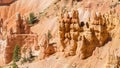 Hoodoos of Bryce Canyon national park Royalty Free Stock Photo