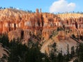 Hoodoos, Bryce Canyon, Utah Royalty Free Stock Photo