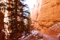 The Hoodoos, Bryce Canyon, Utah, USA Royalty Free Stock Photo